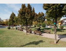 Lulishte Ali Demi (13).JPG