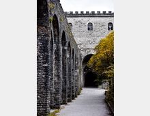 Kalaja_e_Gjirokastrës,Tori Oseku.jpg