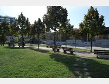 Lulishte Ali Demi (8).JPG