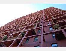 Pallat industrial Rr Kavajes (9).JPG