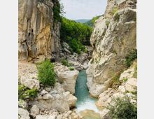 Shkalla e Tujanit Dajt -.jpg