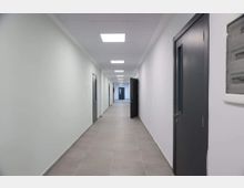 partizani high school