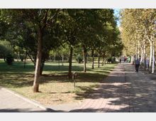 Bicycle track near the Park