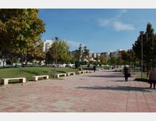 Lulishte Ali Demi (4).JPG