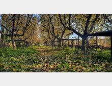 restaurant garden / Farm surroundings