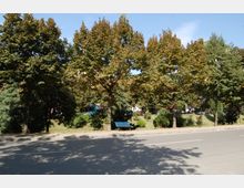 Bulevardi bajram curri (11).JPG